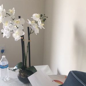 Meet your Posher, Tavus